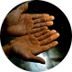 Tea trivia hands